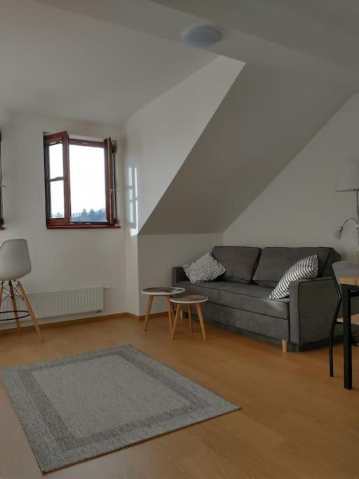 Apartment Felicitas